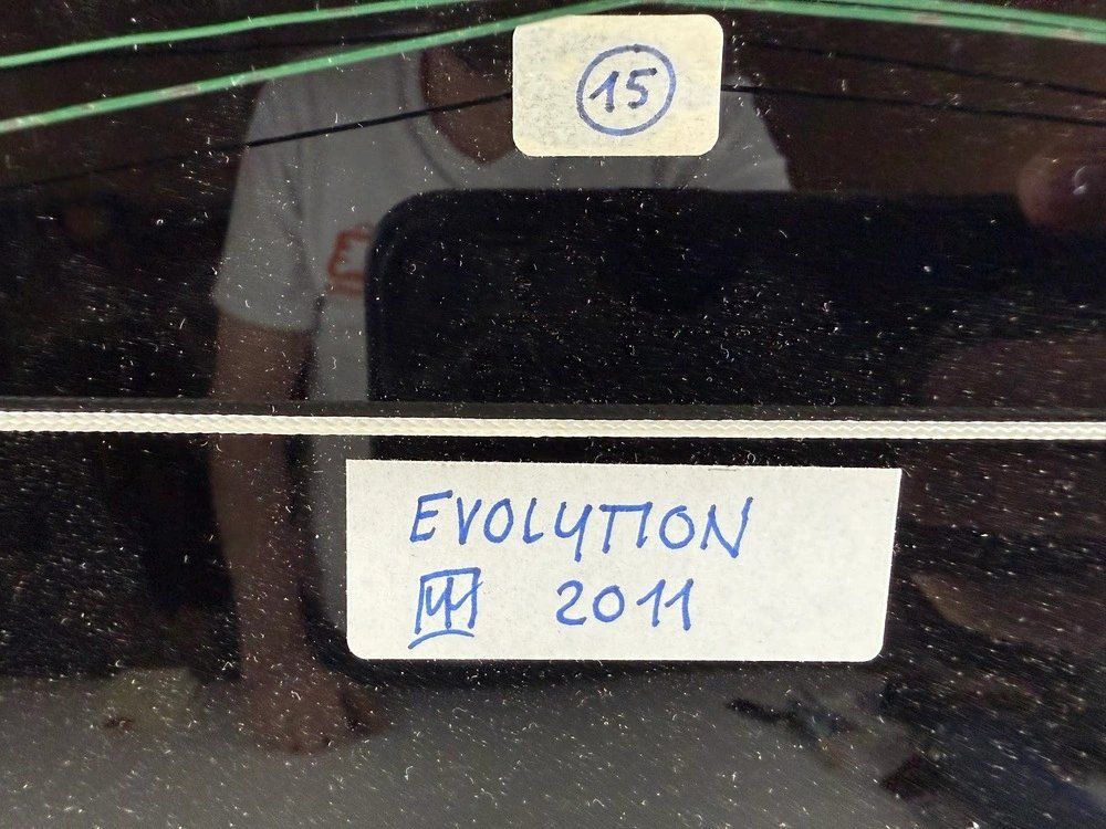 Dipinti: Email Gemälde „Evolution“ 2011 Wandobjekt – Usato da Hinwil venduto da Grossformat 3
