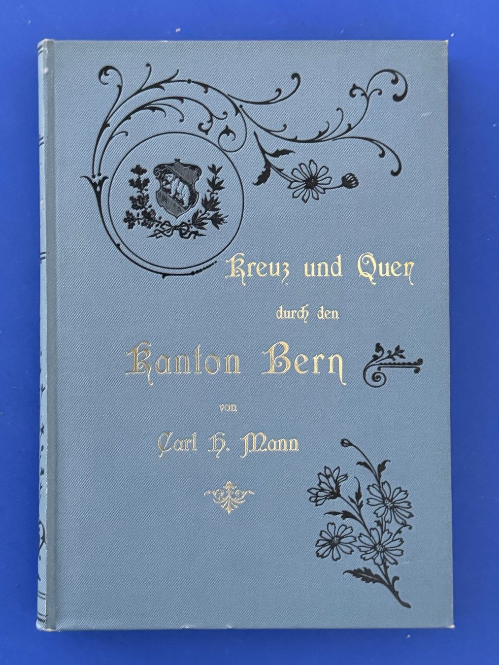 Libri: Mann - Kreuz und Quer durch den Kanton Bern. 1901 – Usato da Adliswil venduto da buch_und_kunst