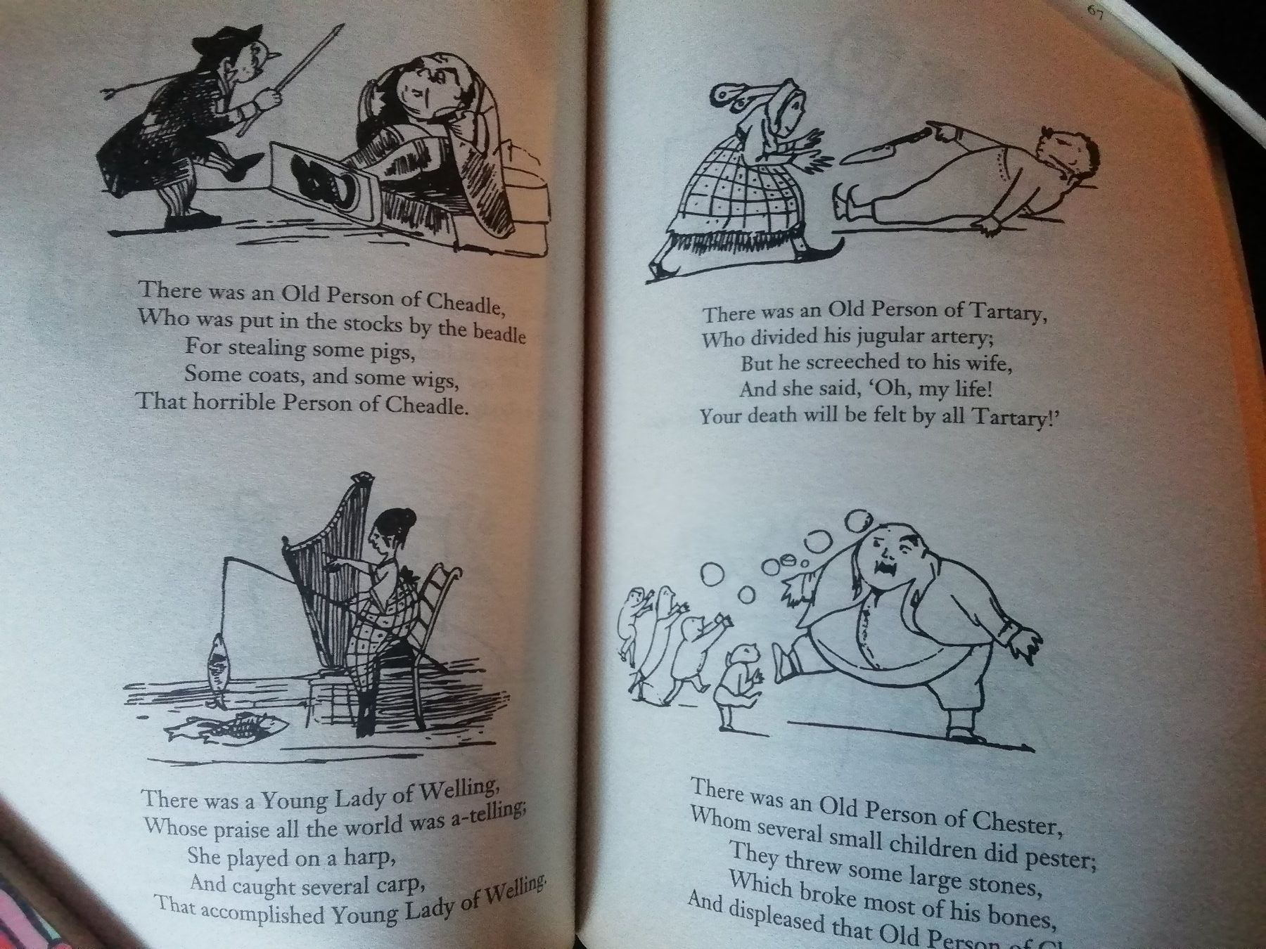 Bücher: Edward Lear: Complete Nonsense (anglais) – Gebraucht aus Commugny von Juliemimi 2