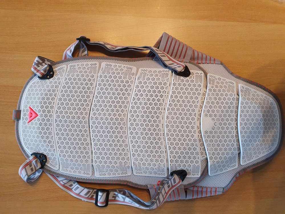 Ski/Snowboard Back Protector, Grösse S Kaufen auf Ricardo