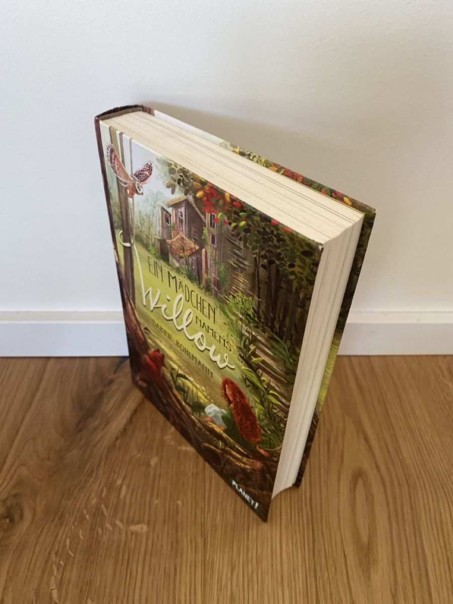 Livres: Buch EIN MÄDCHEN NAMENS WILLOW – D'occasion à Rothenfluh par myfra 2