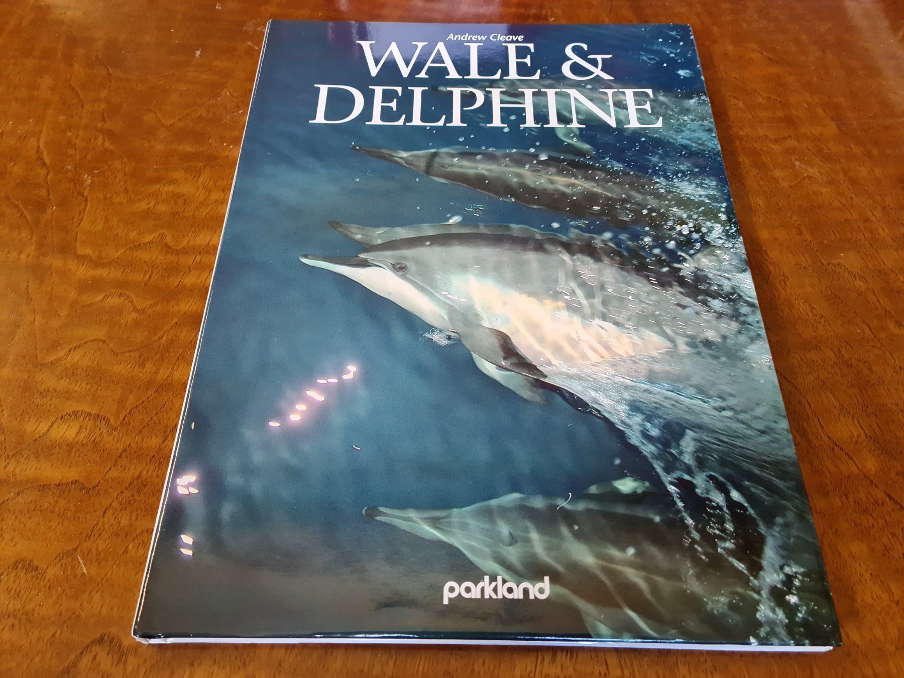 Libri: WALE & DELPHINE – Usato da Erstfeld venduto da Uhu1980