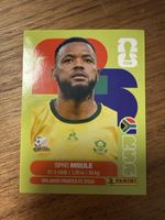 Panini Fifa RSA 16