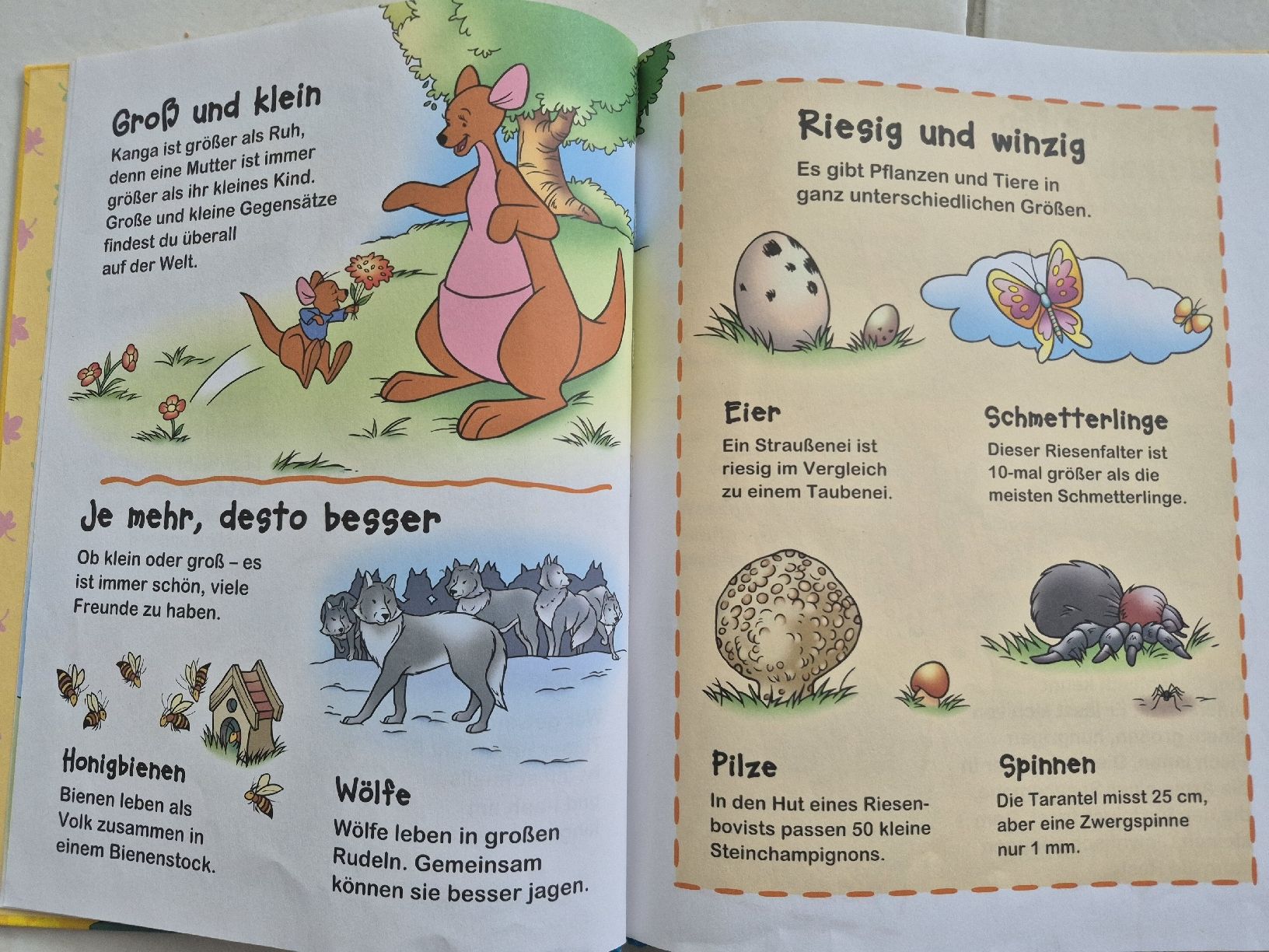 Libri: 2 Kinder Bücher  – Usato da Gränichen venduto da Mamaboy 2