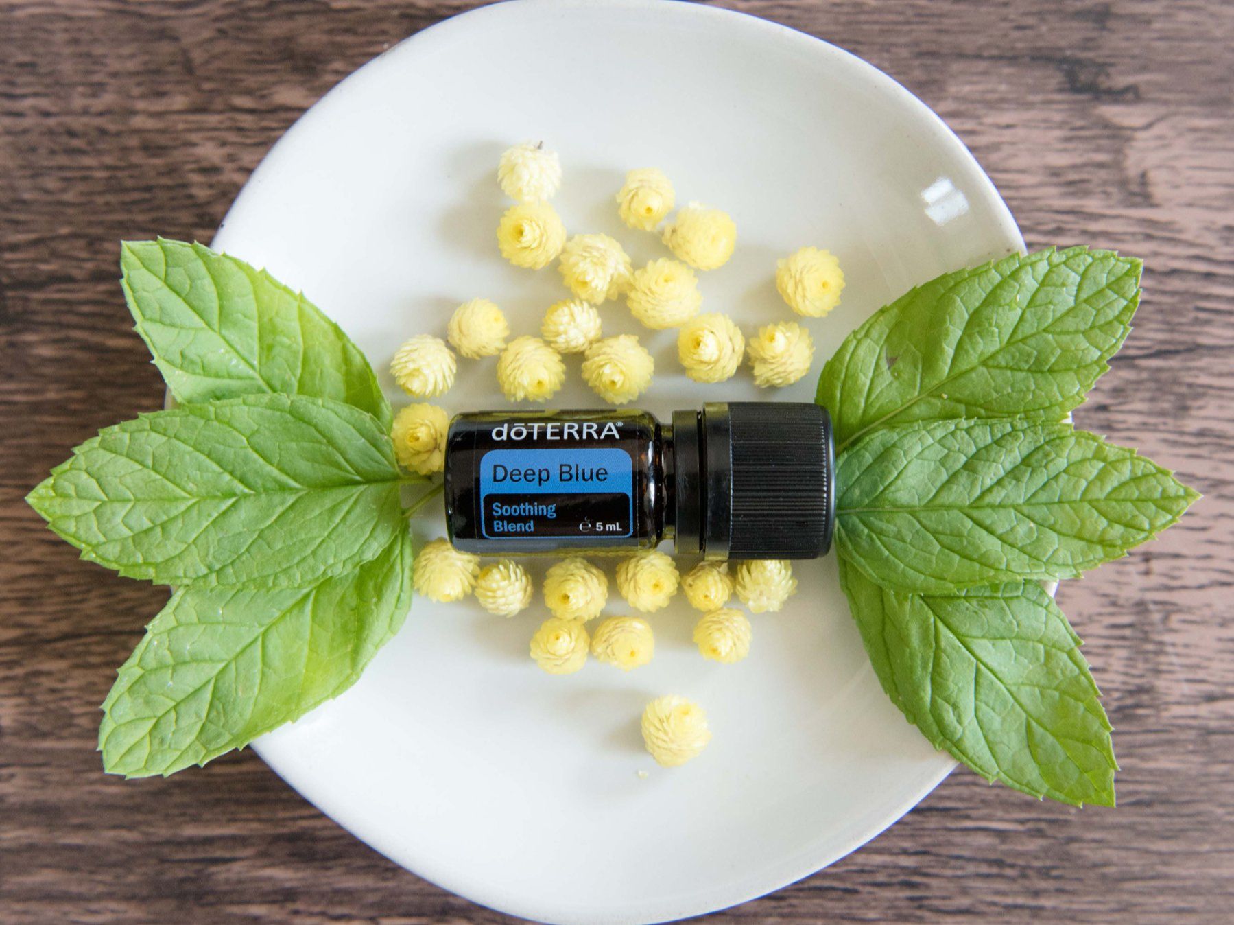 Doterra Oli essenziali: dōTERRA Deep Blue ätherisches Öl 5ml – Nuovo e nell'imballaggio originale da Olten venduto da Duft-Atelier-Schweiz 1
