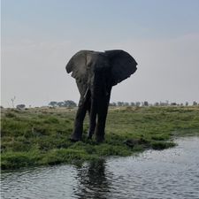 Profile image of maluhe