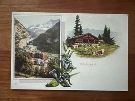 AK  ca 1910 Grindelwald Litho   (G2700)