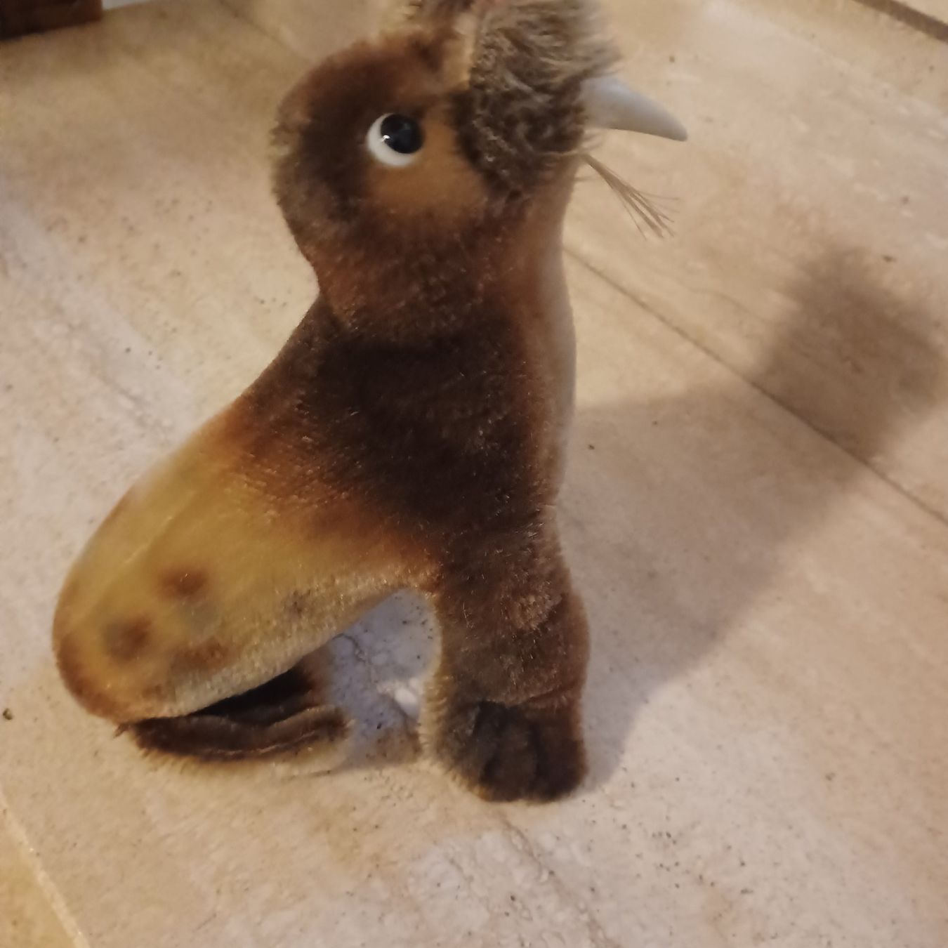 Steiff Giocattoli: Steiff Wallross 18 cm gross um 1960 – Usato da Abtwil SG venduto da luupsy 3