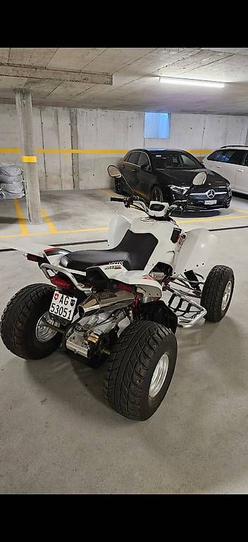 Access Motor ATV / Quad: Access SP450 – Usato da Brunegg venduto da dom_k69f 1