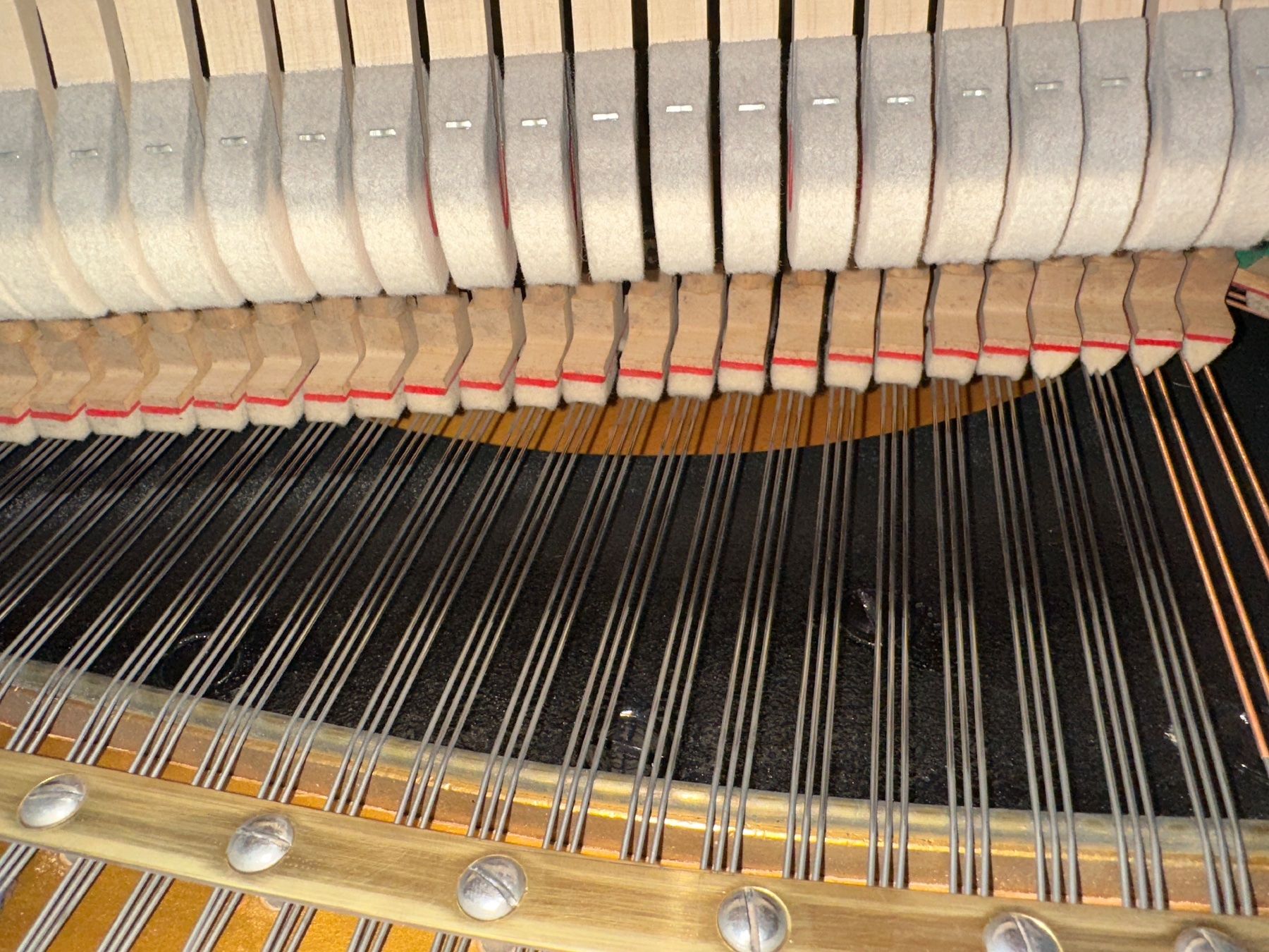 Strumenti musicali: Klavier Burger und Jacobi – Usato da Möhlin venduto da lisisa01 5