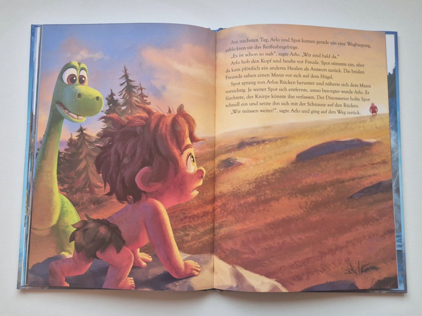 Libri: ARLO & SPOT    🦕     Disney Pixar – Usato da Niederweningen venduto da Obson 3