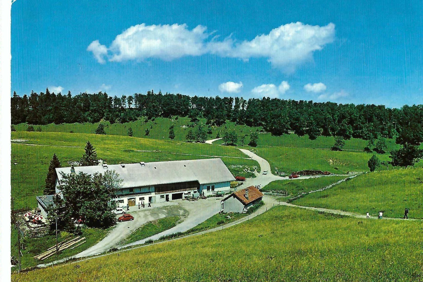 Cartoline postali: Weissenstein SO,  Berg-Restaurant Sennhaus, 1972 – Usato da Thun venduto da 44wart