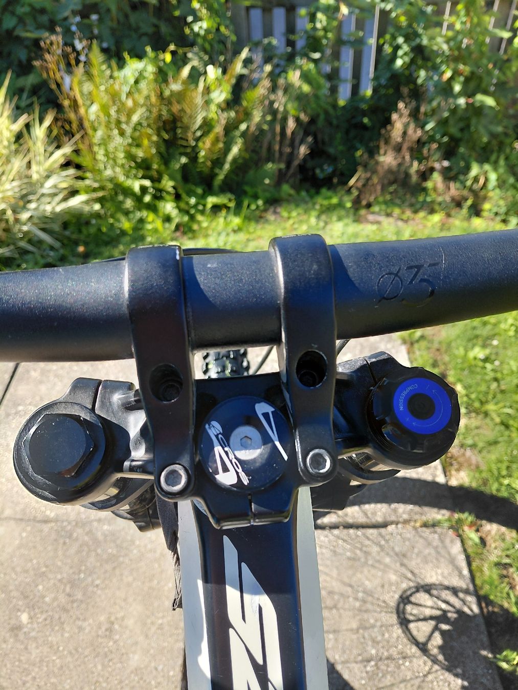 YT Vélos: YT Dh. Carbon – D'occasion à Wengen par gaborvida 5