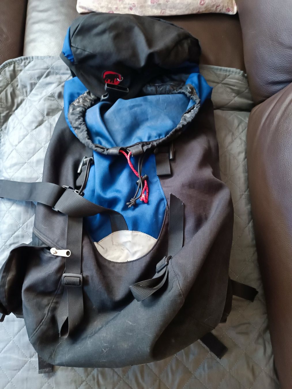 Mammut Zaini: Mammut Rucksack – Usato da Sargans venduto da Benziner 8