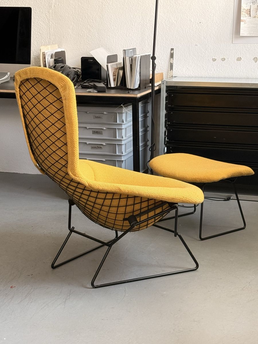 Poltrone: Design Sessel Knoll / Bertoria / Bird Chair – Usato da Zürich venduto da El-Ga 1