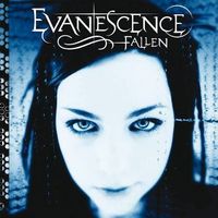 1 Stehplatzticket für Konzert Evanescence