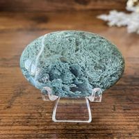 ✲ Moosachat Handschmeichler ✲ 40g / 55mm Agate Palm Stone