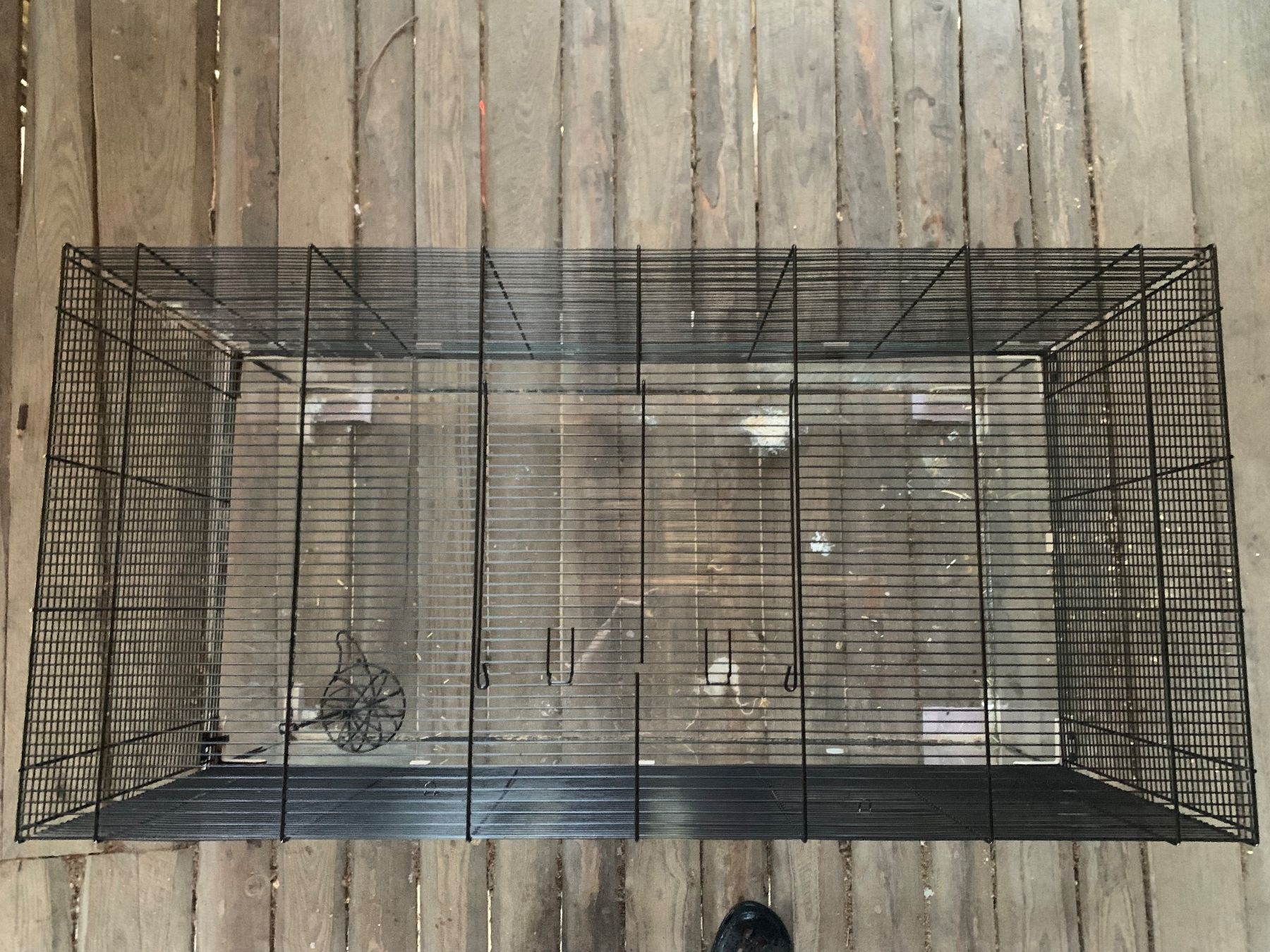 Gabbie, trasporto & Sicurezza: Glas Hamsterkäfig/Nagerheim – Usato da Seuzach venduto da steven_mueller01 3