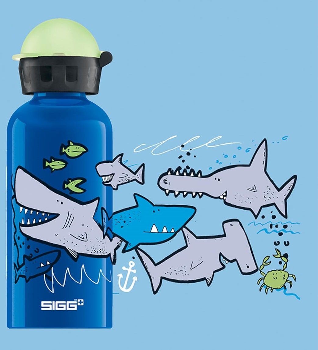 Sigg Gourdes & Thermos: SIGG Trinkflasche Alu 3dl oder 4dl - Auswahl – Neuf avec emballage d'origine à Kägiswil par nick333 2