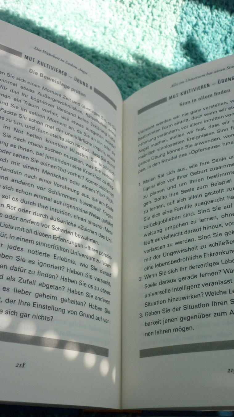 Bücher: Mut zur Angst, Lissa Rankin – Neu (gemäss Beschreibung) aus Niedergösgen von Happy-7 7