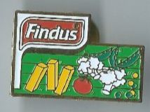 Findus Gemüse Pin