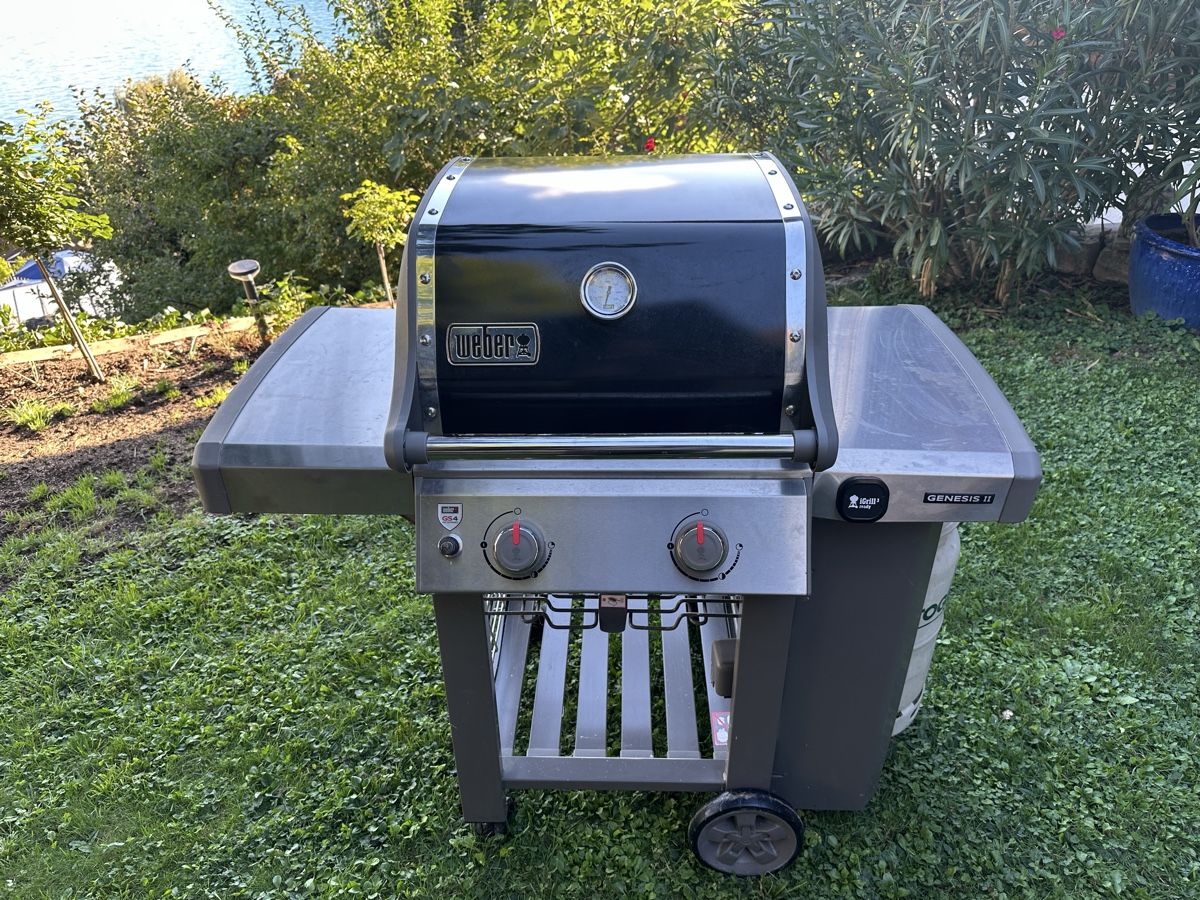 Griglie: Weber Genesis II E-210 Gasgrill wie neu – Usato da Interlaken venduto da StephanJJ66