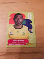Panini WM 2026 RSA 4