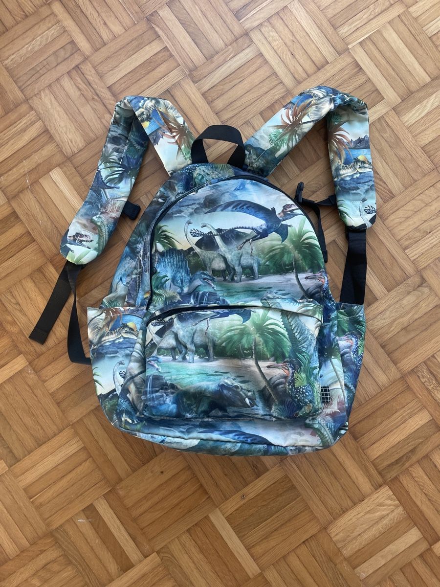Borse & Zaini: Cooler Dino Rucksack – Usato da Engelburg venduto da Identity 1
