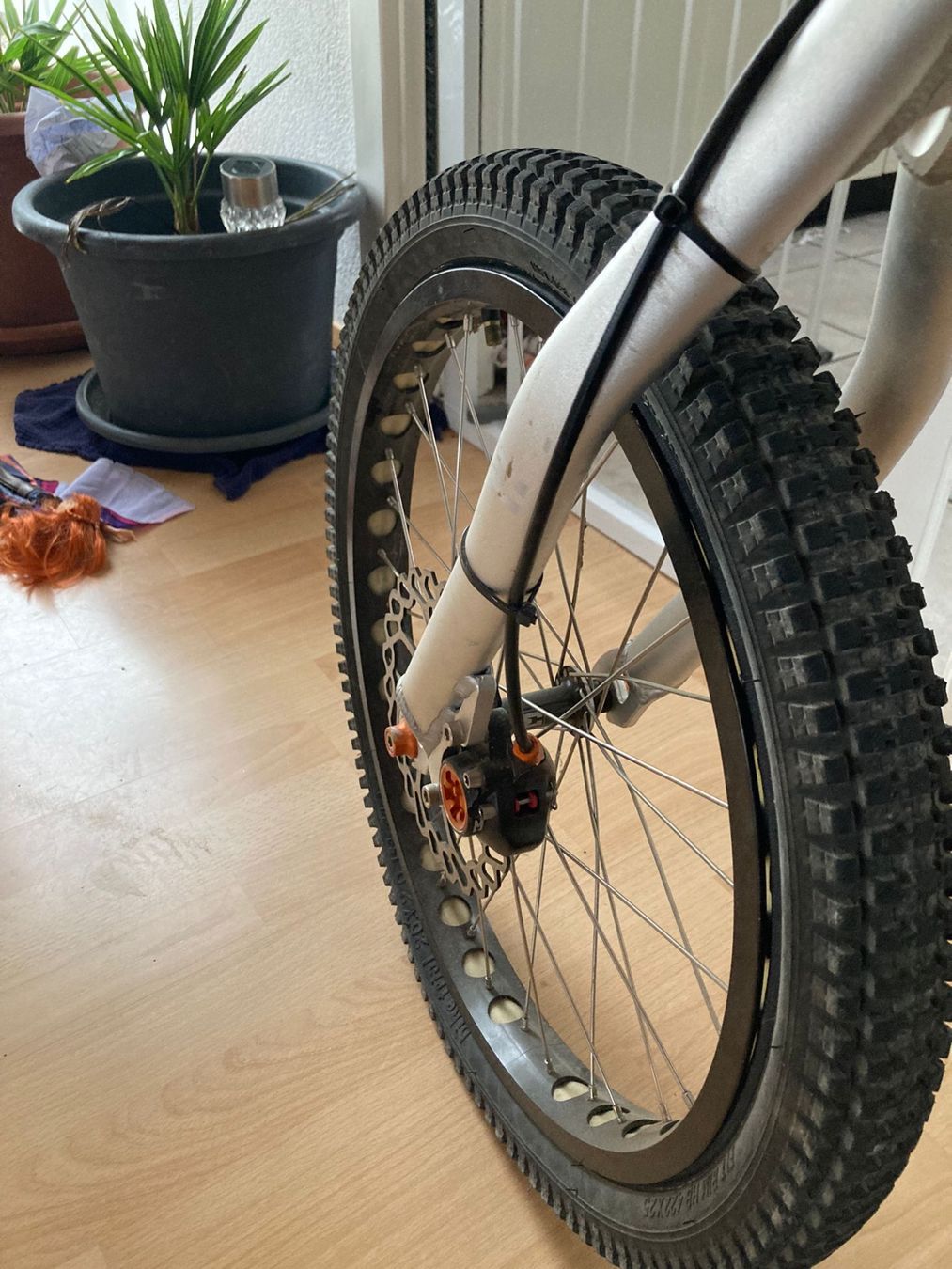 Velos: Kunstbike echolite – Gebraucht aus Frauenfeld von manuburg 5