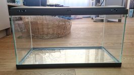 Aquarium 54L avec lumière