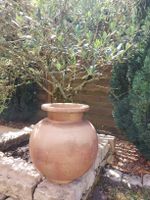 Grand pot en terre cuite, style méditerranéen, idéal été