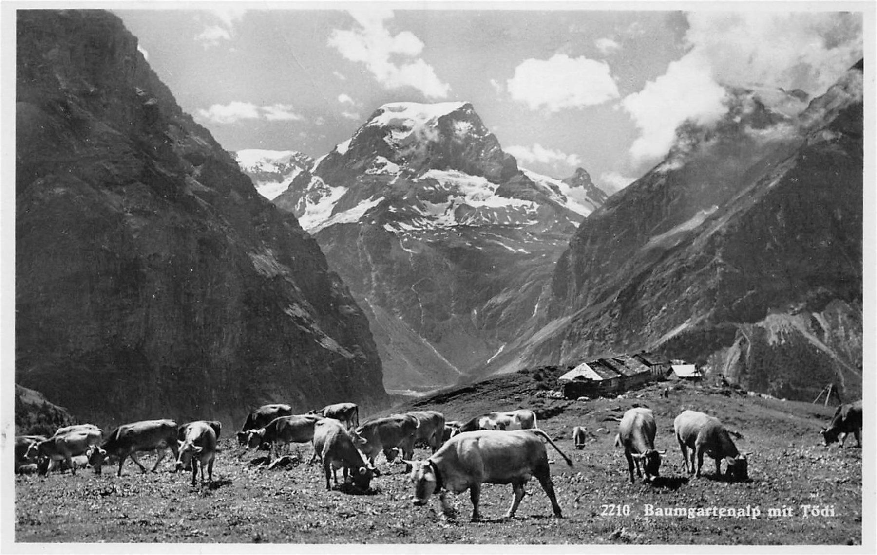 Cartes postales: Linthal, Baumgartenalp mit Tödi – D'occasion à Ottikon b.Kemptth. par Neptun1974