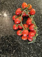 Red Desire Cherry Tomaten Samen 10 Stück
