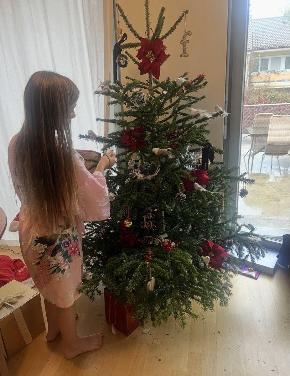 Piante & sementi: Artificial Christmas Tree – Usato da Basel venduto da cei_5scv