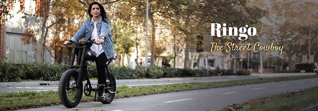 Biciclette: Rayvolt Ringo - Der Strassen-Cowboy E-Bike – Usato da Kappel am Albis venduto da igibaar 4
