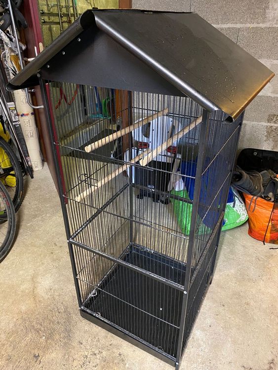 Cage Oiseaux Kaufen Auf Ricardo