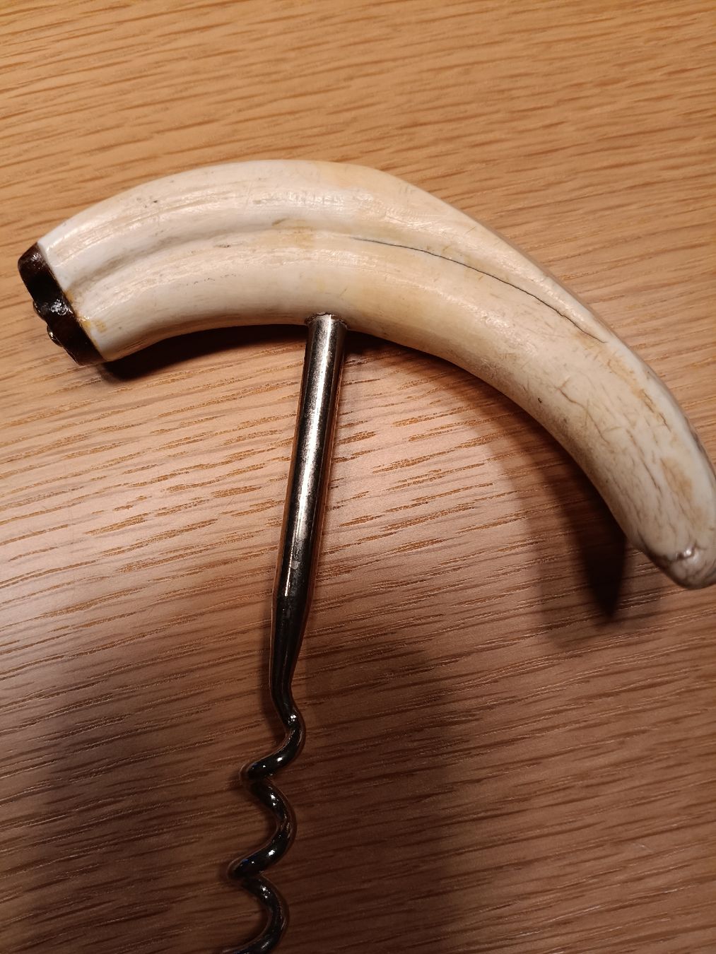 Apribottiglie & Tappi per chiusura: Vintage Korkenzieher Knochen – Usato da Stansstad venduto da leoni66 1