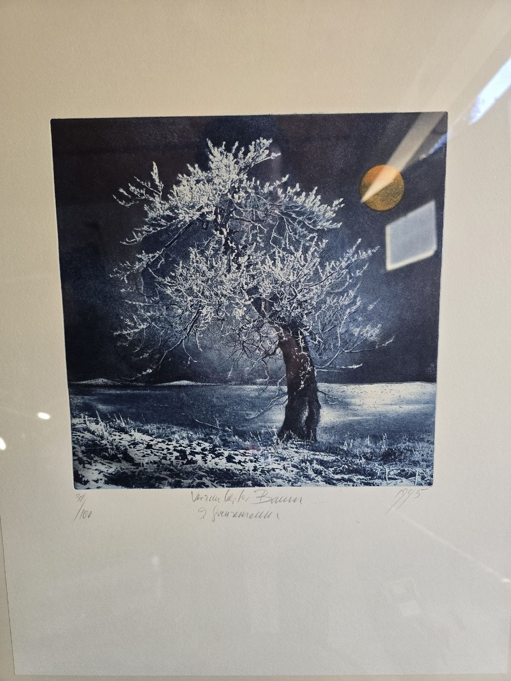 Foto & Immagini: Original Radierung "Verschneiter Baum" – Usato da Winterthur venduto da UmzugsFundgrube