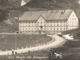 Route du SIMPLON: Hospice, Hunde - Foto-AK Phototypie ~1930