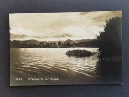 Altenrhein   Staad   Bodensee  Ansichtskarte  St.Gallen