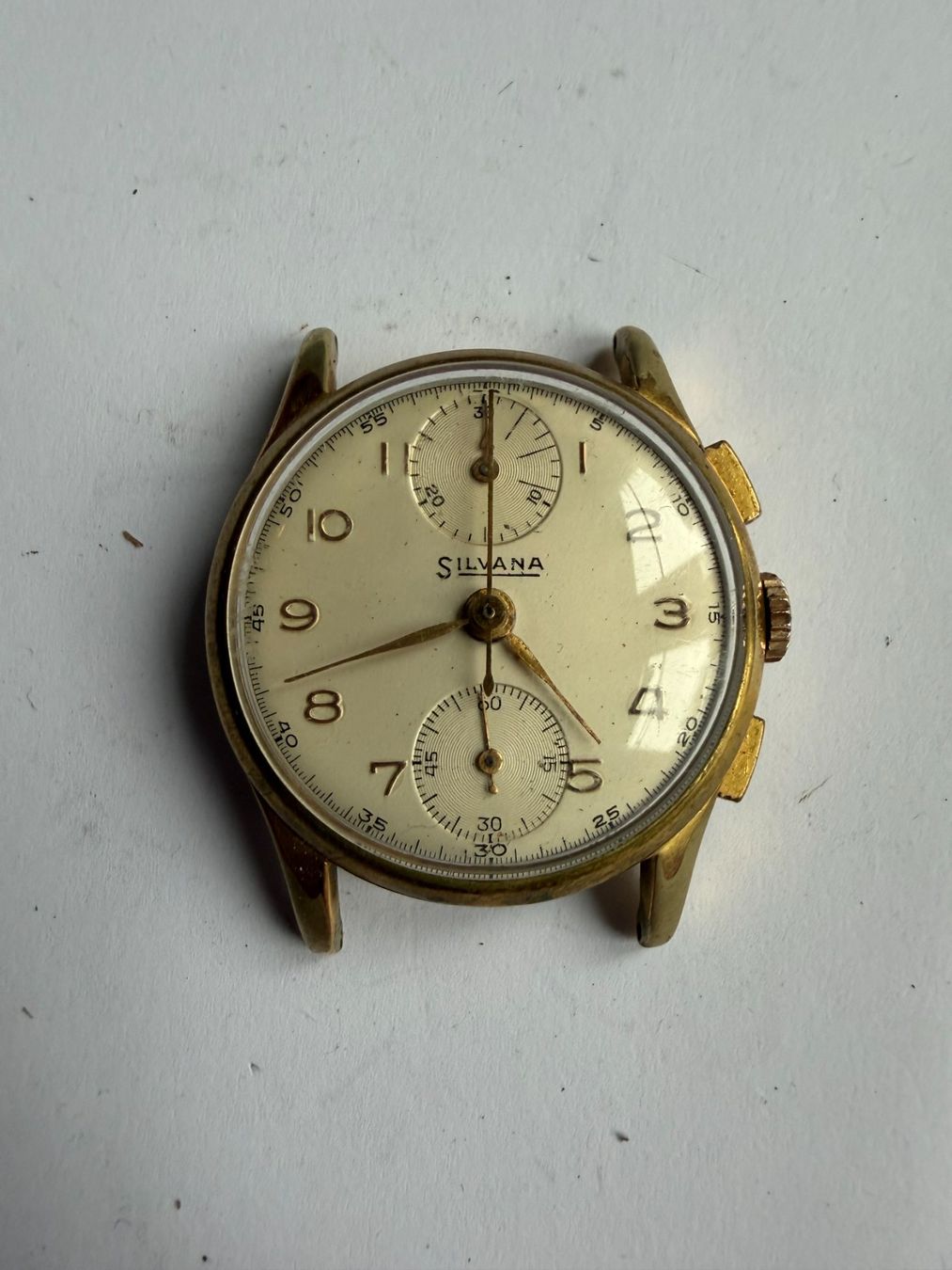 Montres: Silvana Chronograph – D'occasion à Worblaufen par chronyves
