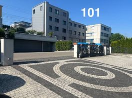 ELECTRIC GATE