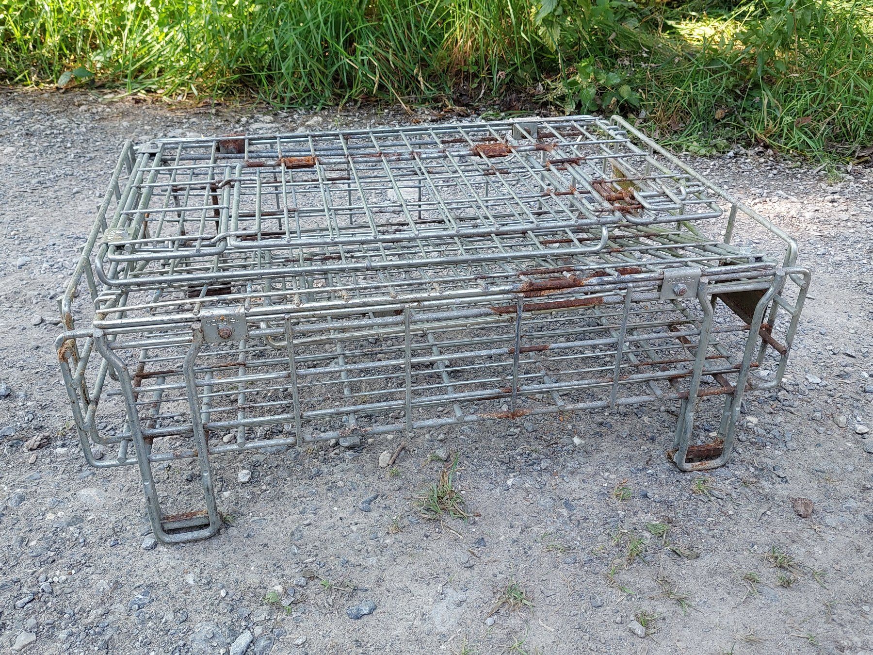 Pallets: Faltbare Gitterbox-Palette mit Klappe – Usato da Muri b. Bern venduto da Spassholz 4