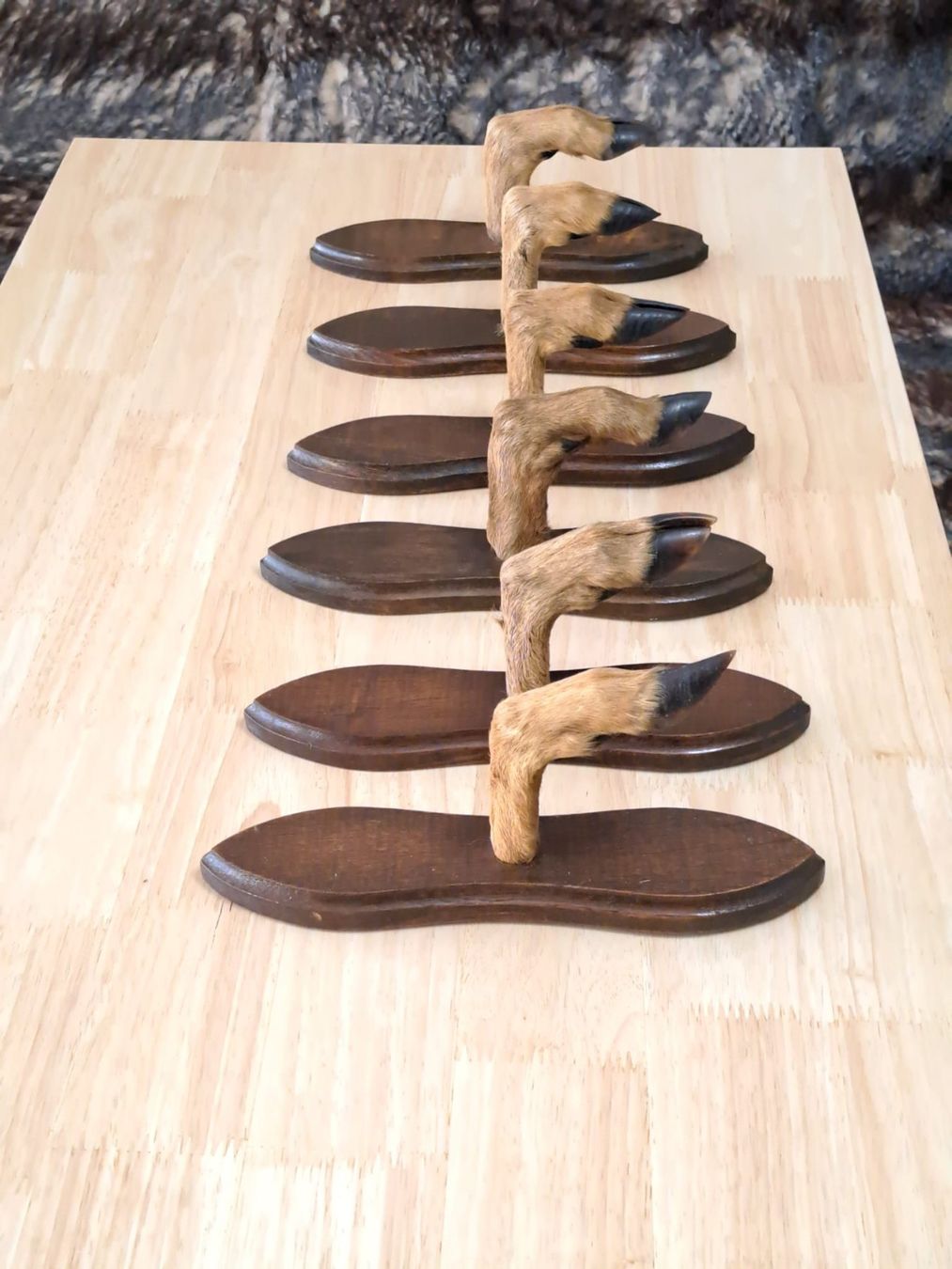 Guardaroba: Vintage Garderobe Reh Jagdtrophäe – Usato da Birsfelden venduto da oleros 2