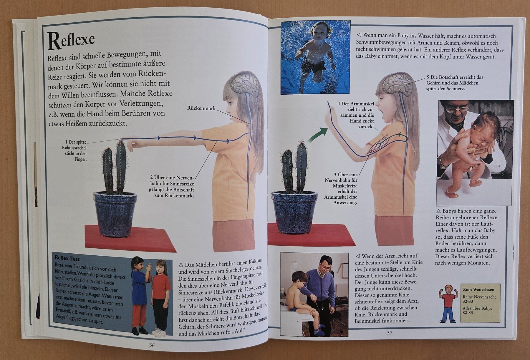 Libri: Kinderlexikon: Mein Körper – Usato da Schaffhausen venduto da asyouwestley 3