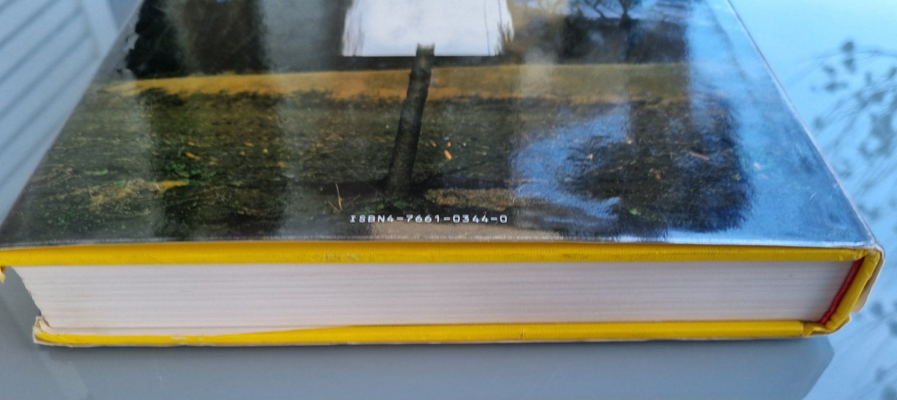 Libri: Fotobuch Photographers Index 1 – Usato da Opfikon venduto da Diversamente 5