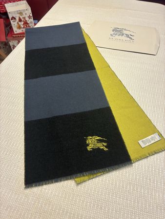 Original Burberry Schal 3 farbig