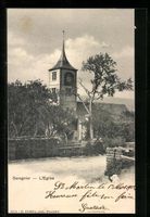 AK Savagnier, L'Eglise, 1902