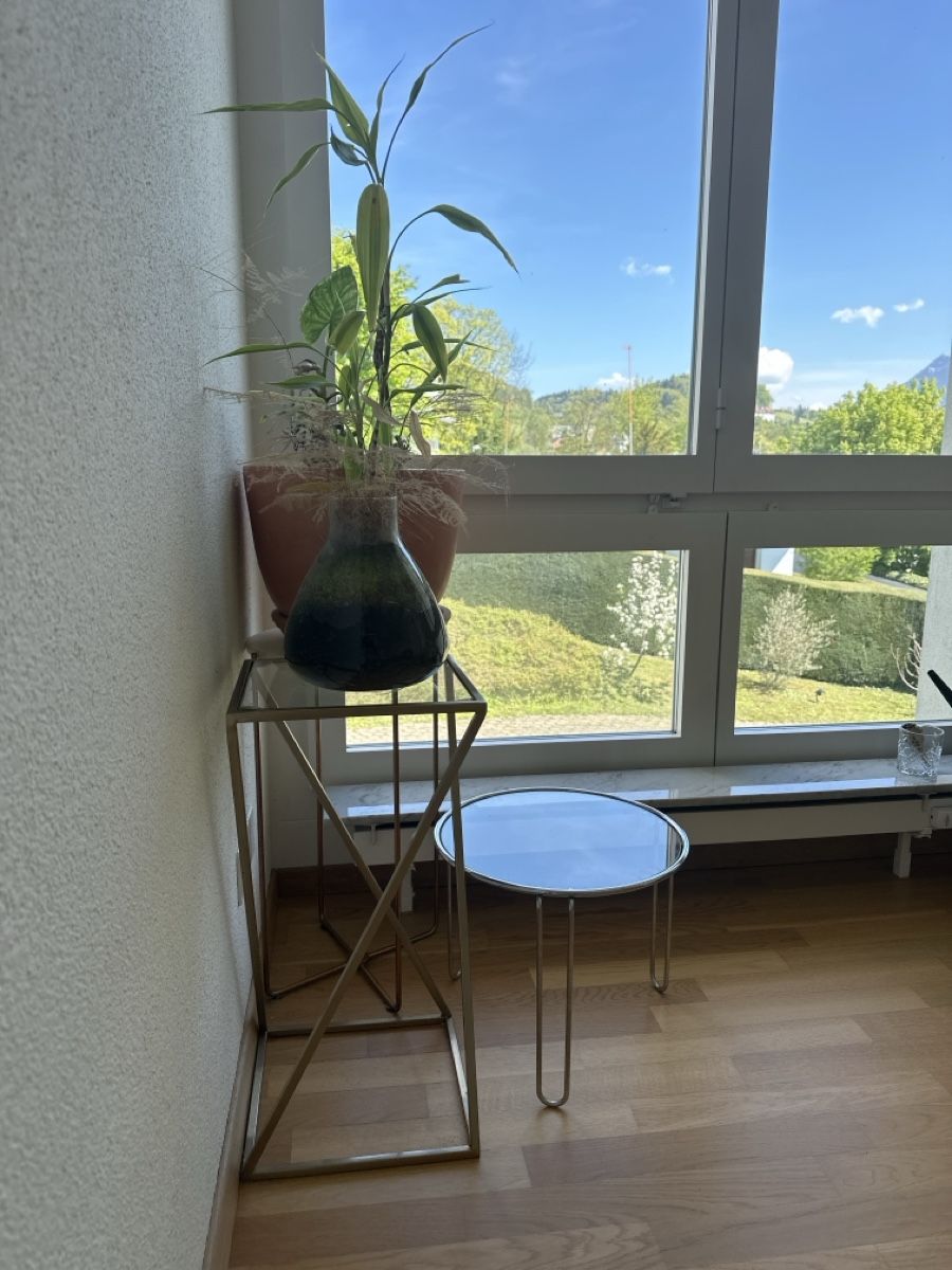 Altro per la casa: Pflanzenständer 3x – Usato da Luzern venduto da Tsimont 2