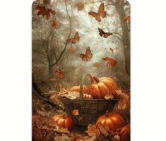 Metallschild Herbst / Kürbis 30cm × 20cm / Bild